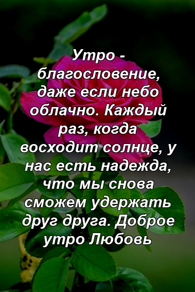 Утро - благословение, даже если небо облачно. Каждый раз, когда восходит солнце, у нас есть надежда, что мы снова сможем удержать друг друга. Доброе утро Любовь