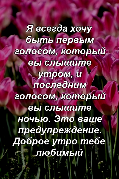 Я всегда хочу быть первым голосом, который вы слышите утром, и последним голосом, который вы слышите ночью. Это ваше предупреждение. Доброе утро тебе любимый