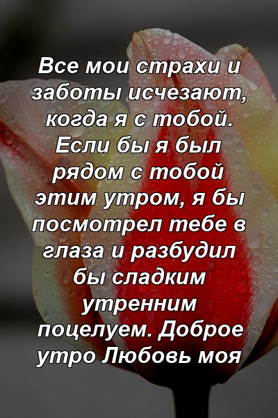 Все мои страхи и заботы исчезают, когда я с тобой. Если бы я был рядом с тобой этим утром, я бы посмотрел тебе в глаза и разбудил бы сладким утренним поцелуем. Доброе утро Любовь моя