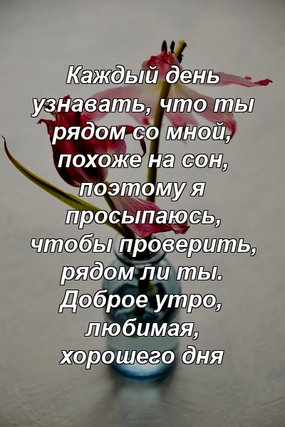 Каждый день узнавать, что ты рядом со мной, похоже на сон, поэтому я просыпаюсь, чтобы проверить, рядом ли ты. Доброе утро, любимая, хорошего дня