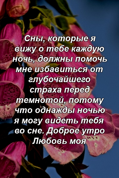 Сны, которые я вижу о тебе каждую ночь, должны помочь мне избавиться от глубочайшего страха перед темнотой, потому что однажды ночью я могу видеть тебя во сне. Доброе утро Любовь моя