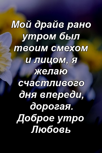 Мой драйв рано утром был твоим смехом и лицом, я желаю счастливого дня впереди, дорогая. Доброе утро Любовь