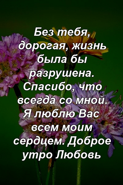 Без тебя, дорогая, жизнь была бы разрушена. Спасибо, что всегда со мной. Я люблю Вас всем моим сердцем. Доброе утро Любовь