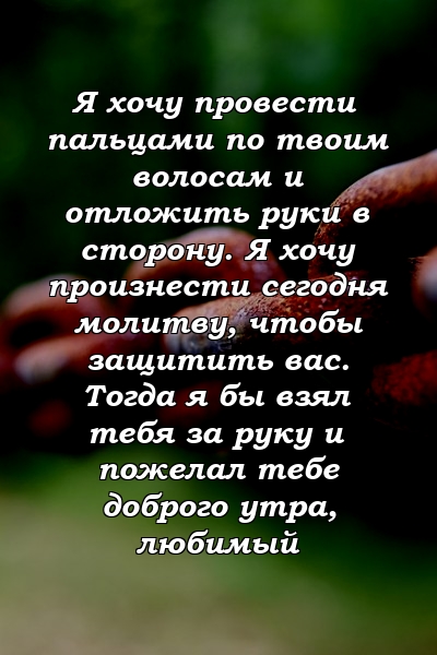 Я хочу провести пальцами по твоим волосам и отложить руки в сторону. Я хочу произнести сегодня молитву, чтобы защитить вас. Тогда я бы взял тебя за руку и пожелал тебе доброго утра, любимый