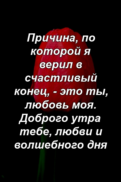 Причина, по которой я верил в счастливый конец, - это ты, любовь моя. Доброго утра тебе, любви и волшебного дня