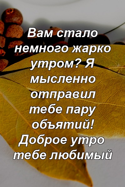 Вам стало немного жарко утром? Я мысленно отправил тебе пару объятий! Доброе утро тебе любимый