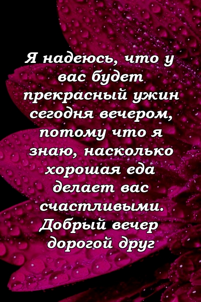 Я надеюсь, что у вас будет прекрасный ужин сегодня вечером, потому что я знаю, насколько хорошая еда делает вас счастливыми. Добрый вечер дорогой друг