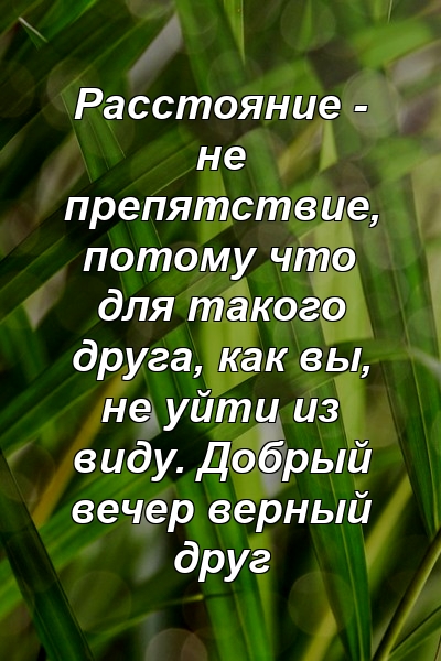 Расстояние - не препятствие, потому что для такого друга, как вы, не уйти из виду. Добрый вечер верный друг