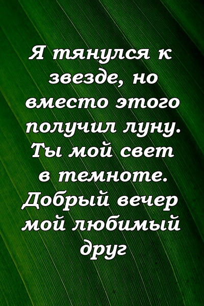 Я тянулся к звезде, но вместо этого получил луну. Ты мой свет в темноте. Добрый вечер мой любимый друг