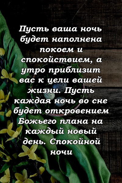 Пусть ваша ночь будет наполнена покоем и спокойствием, а утро приблизит вас к цели вашей жизни. Пусть каждая ночь во сне будет откровением Божьего плана на каждый новый день. Спокойной ночи