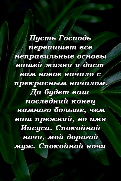 Пусть Господь перепишет все неправильные основы вашей жизни и даст вам новое начало с прекрасным началом. Да будет ваш последний конец намного больше, чем ваш прежний, во имя Иисуса. Спокойной ночи, мой дорогой муж. Спокойной ночи