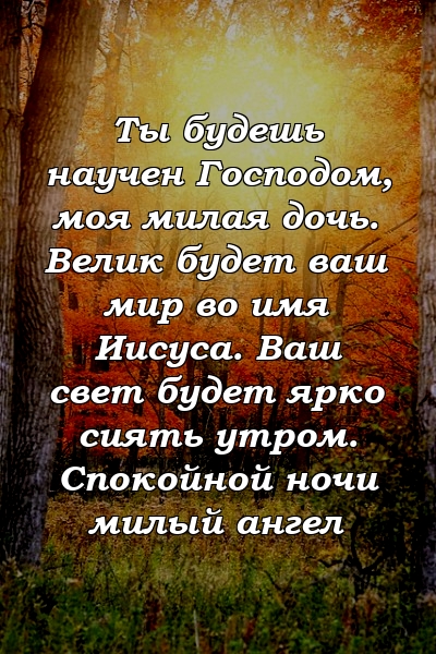 Ты будешь научен Господом, моя милая дочь. Велик будет ваш мир во имя Иисуса. Ваш свет будет ярко сиять утром. Спокойной ночи милый ангел