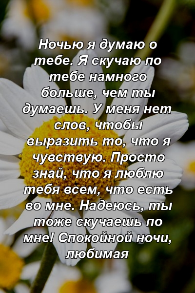 Ночью я думаю о тебе. Я скучаю по тебе намного больше, чем ты думаешь. У меня нет слов, чтобы выразить то, что я чувствую. Просто знай, что я люблю тебя всем, что есть во мне. Надеюсь, ты тоже скучаешь по мне! Спокойной ночи, любимая