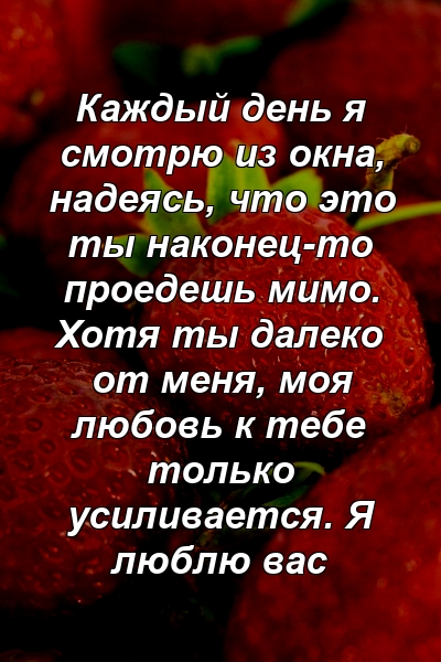 Каждый день я смотрю из окна, надеясь, что это ты наконец-то проедешь мимо. Хотя ты далеко от меня, моя любовь к тебе только усиливается. Я люблю вас