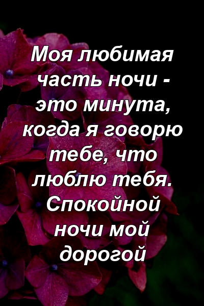 Моя любимая часть ночи - это минута, когда я говорю тебе, что люблю тебя. Спокойной ночи мой дорогой