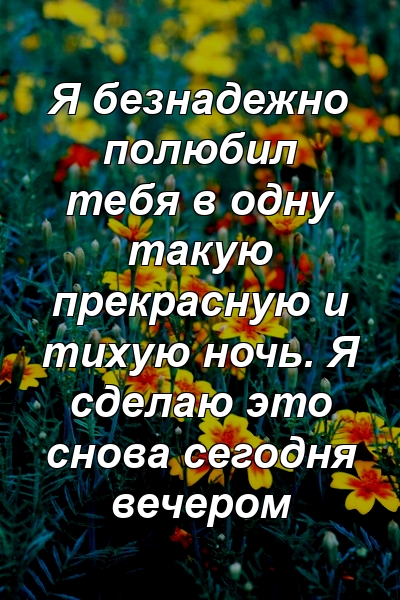 Я безнадежно полюбил тебя в одну такую ​​прекрасную и тихую ночь. Я сделаю это снова сегодня вечером