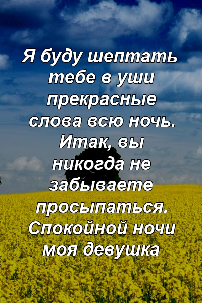 Я буду шептать тебе в уши прекрасные слова всю ночь. Итак, вы никогда не забываете просыпаться. Спокойной ночи моя девушка