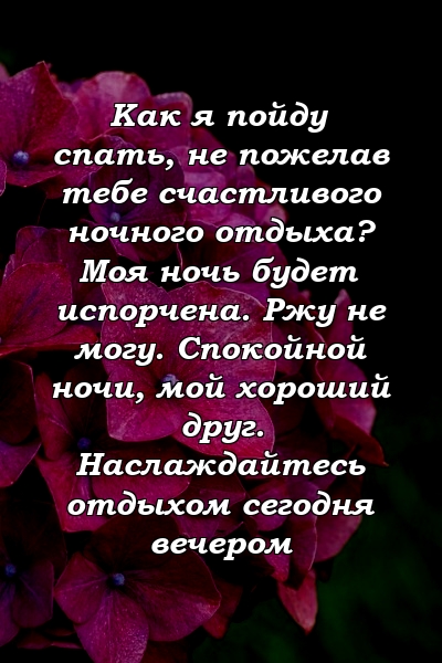 Как я пойду спать, не пожелав тебе счастливого ночного отдыха? Моя ночь будет испорчена. Ржу не могу. Спокойной ночи, мой хороший друг. Наслаждайтесь отдыхом сегодня вечером