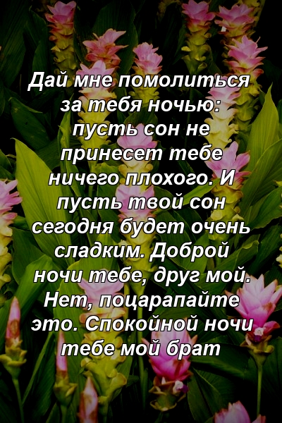 Дай мне помолиться за тебя ночью: пусть сон не принесет тебе ничего плохого. И пусть твой сон сегодня будет очень сладким. Доброй ночи тебе, друг мой. Нет, поцарапайте это. Спокойной ночи тебе мой брат