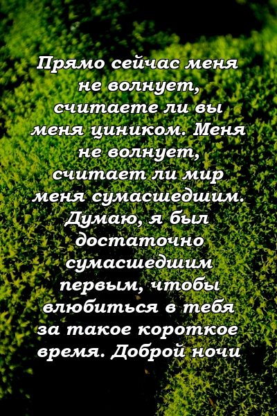 Прямо сейчас меня не волнует, считаете ли вы меня циником. Меня не волнует, считает ли мир меня сумасшедшим. Думаю, я был достаточно сумасшедшим первым, чтобы влюбиться в тебя за такое короткое время. Доброй ночи