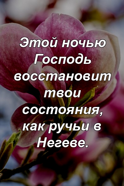 Этой ночью Господь восстановит твои состояния, как ручьи в Негеве.