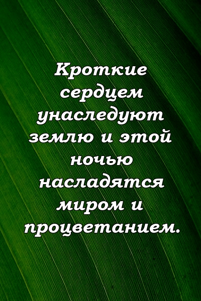 Кроткие сердцем унаследуют землю и этой ночью насладятся миром и процветанием.