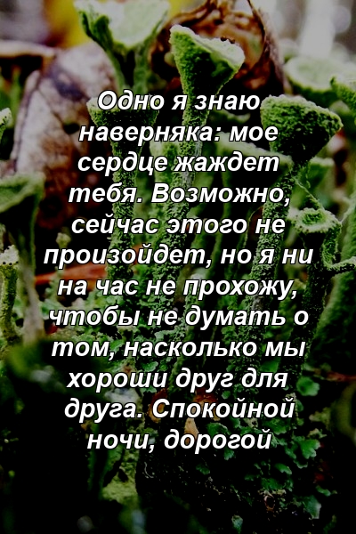 Одно я знаю наверняка: мое сердце жаждет тебя. Возможно, сейчас этого не произойдет, но я ни на час не прохожу, чтобы не думать о том, насколько мы хороши друг для друга. Спокойной ночи, дорогой