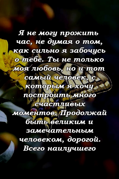 Я не могу прожить час, не думая о том, как сильно я забочусь о тебе. Ты не только моя любовь, но и тот самый человек, с которым я хочу построить много счастливых моментов. Продолжай быть великим и замечательным человеком, дорогой. Всего наилучшего