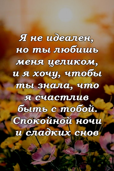 Я не идеален, но ты любишь меня целиком, и я хочу, чтобы ты знала, что я счастлив быть с тобой. Спокойной ночи и сладких снов