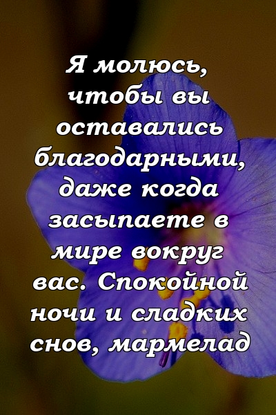 Я молюсь, чтобы вы оставались благодарными, даже когда засыпаете в мире вокруг вас. Спокойной ночи и сладких снов, мармелад