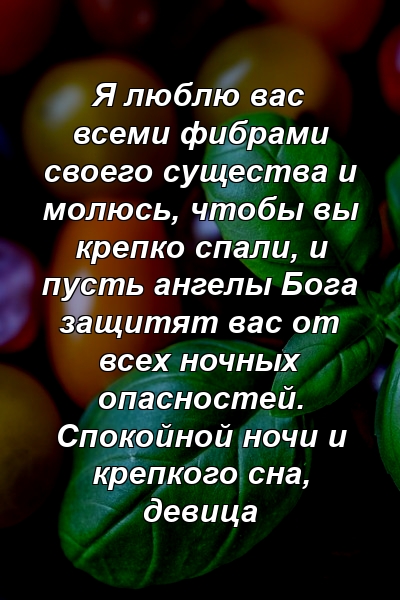 Я люблю вас всеми фибрами своего существа и молюсь, чтобы вы крепко спали, и пусть ангелы Бога защитят вас от всех ночных опасностей. Спокойной ночи и крепкого сна, девица