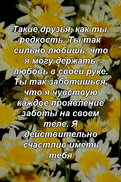 Такие друзья, как ты, редкость. Ты так сильно любишь, что я могу держать любовь в своей руке. Ты так заботишься, что я чувствую каждое проявление заботы на своем теле. Я действительно счастлив иметь тебя