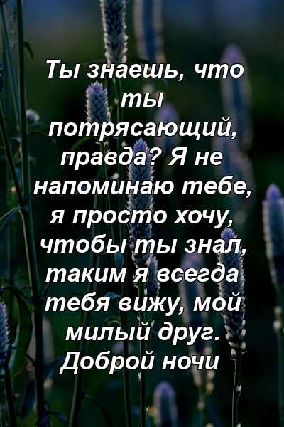 Ты знаешь, что ты потрясающий, правда? Я не напоминаю тебе, я просто хочу, чтобы ты знал, таким я всегда тебя вижу, мой милый друг. Доброй ночи