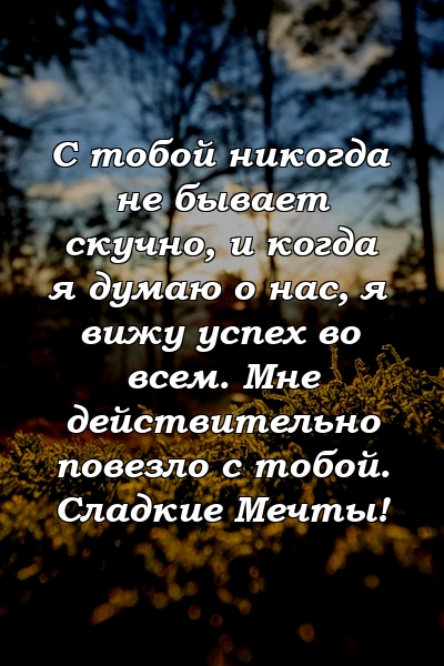 С тобой никогда не бывает скучно, и когда я думаю о нас, я вижу успех во всем. Мне действительно повезло с тобой. Сладкие Мечты!