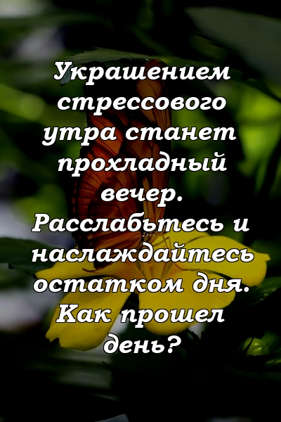 Украшением стрессового утра станет прохладный вечер. Расслабьтесь и наслаждайтесь остатком дня. Как прошел день?