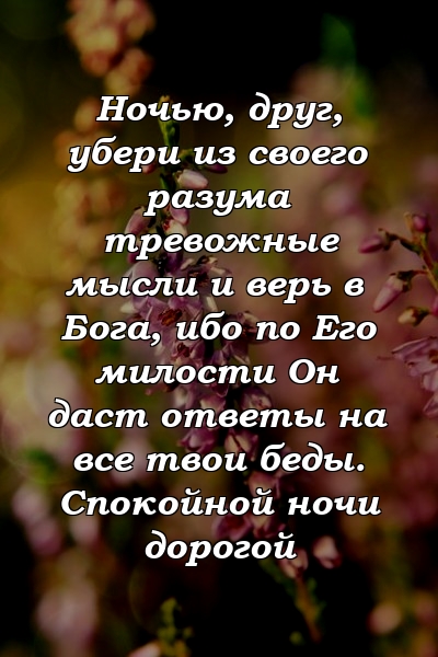 Ночью, друг, убери из своего разума тревожные мысли и верь в Бога, ибо по Его милости Он даст ответы на все твои беды. Спокойной ночи дорогой