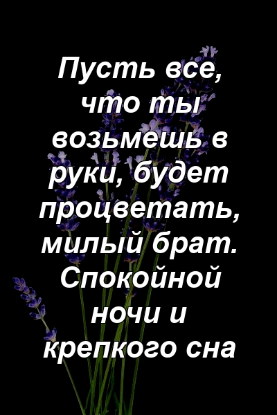 Пусть все, что ты возьмешь в руки, будет процветать, милый брат. Спокойной ночи и крепкого сна