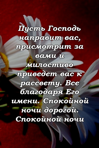 Пусть Господь направит вас, присмотрит за вами и милостиво приведет вас к рассвету. Все благодаря Его имени. Спокойной ночи дорогой. Спокойной ночи