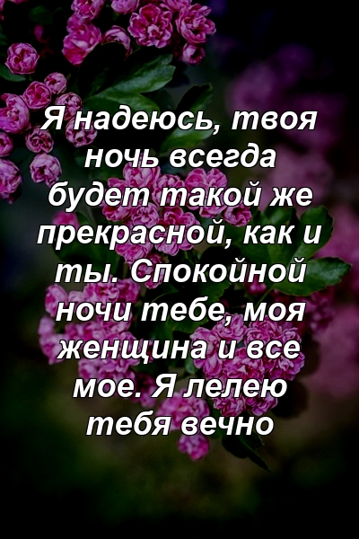 Я надеюсь, твоя ночь всегда будет такой же прекрасной, как и ты. Спокойной ночи тебе, моя женщина и все мое. Я лелею тебя вечно