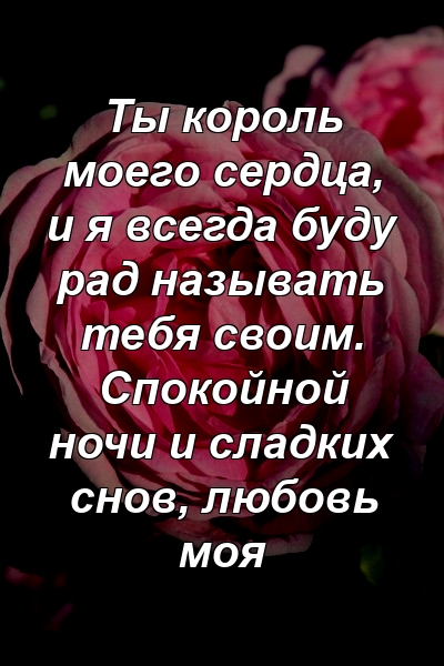 Ты король моего сердца, и я всегда буду рад называть тебя своим. Спокойной ночи и сладких снов, любовь моя