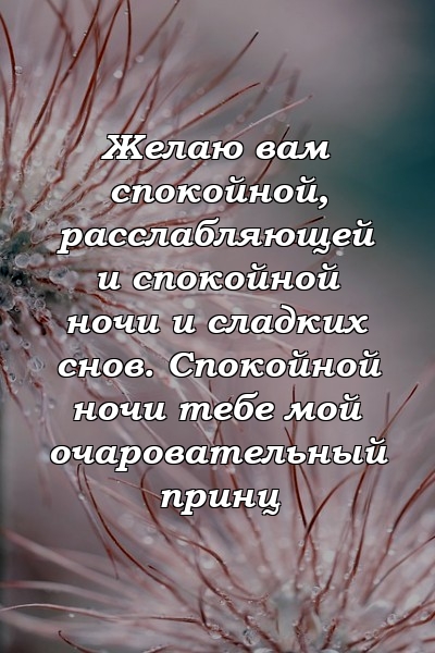 Желаю вам спокойной, расслабляющей и спокойной ночи и сладких снов. Спокойной ночи тебе мой очаровательный принц