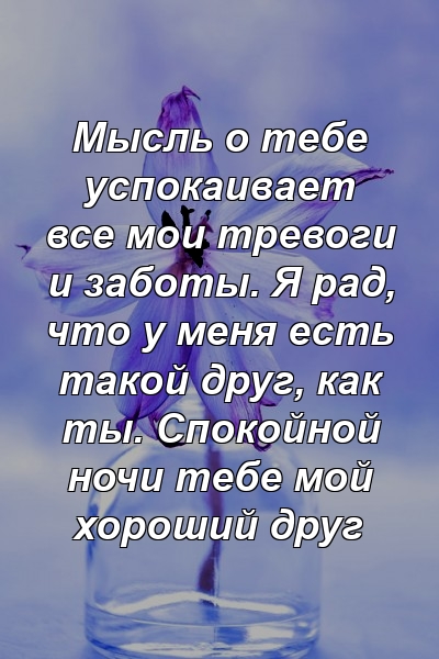 Мысль о тебе успокаивает все мои тревоги и заботы. Я рад, что у меня есть такой друг, как ты. Спокойной ночи тебе мой хороший друг