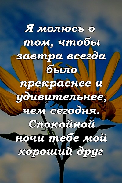 Я молюсь о том, чтобы завтра всегда было прекраснее и удивительнее, чем сегодня. Спокойной ночи тебе мой хороший друг