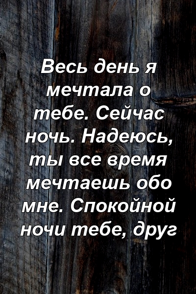 Весь день я мечтала о тебе. Сейчас ночь. Надеюсь, ты все время мечтаешь обо мне. Спокойной ночи тебе, друг