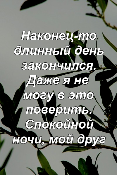 Наконец-то длинный день закончился. Даже я не могу в это поверить. Спокойной ночи, мой друг