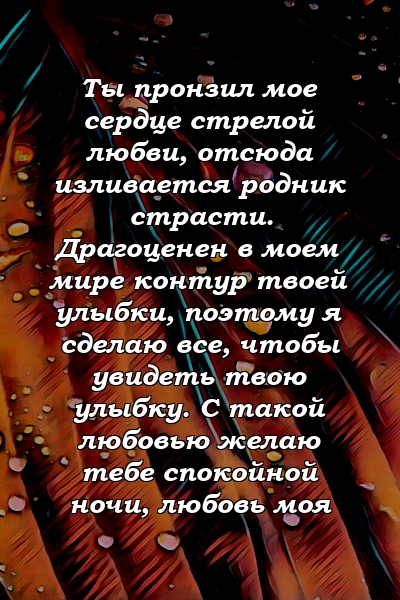 Ты пронзил мое сердце стрелой любви, отсюда изливается родник страсти. Драгоценен в моем мире контур твоей улыбки, поэтому я сделаю все, чтобы увидеть твою улыбку. С такой любовью желаю тебе спокойной ночи, любовь моя