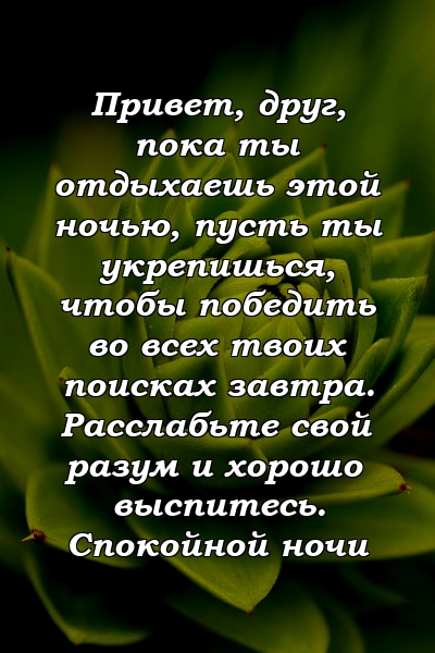 Привет, друг, пока ты отдыхаешь этой ночью, пусть ты укрепишься, чтобы победить во всех твоих поисках завтра. Расслабьте свой разум и хорошо выспитесь. Спокойной ночи