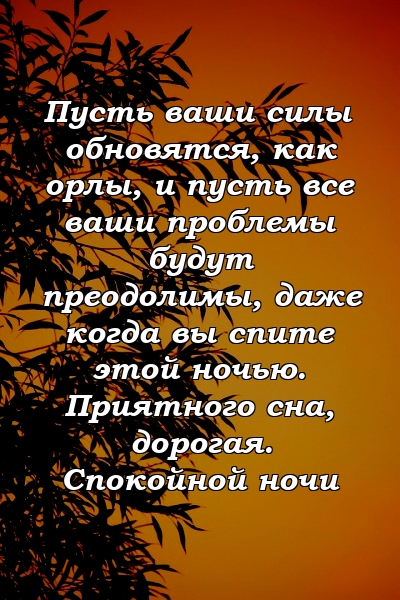 Пусть ваши силы обновятся, как орлы, и пусть все ваши проблемы будут преодолимы, даже когда вы спите этой ночью. Приятного сна, дорогая. Спокойной ночи