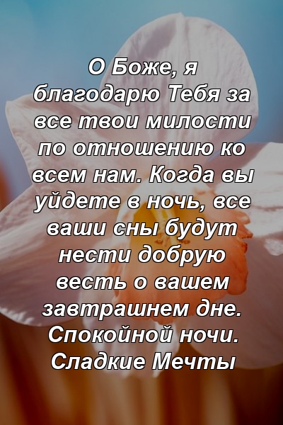 О Боже, я благодарю Тебя за все твои милости по отношению ко всем нам. Когда вы уйдете в ночь, все ваши сны будут нести добрую весть о вашем завтрашнем дне. Спокойной ночи. Сладкие Мечты