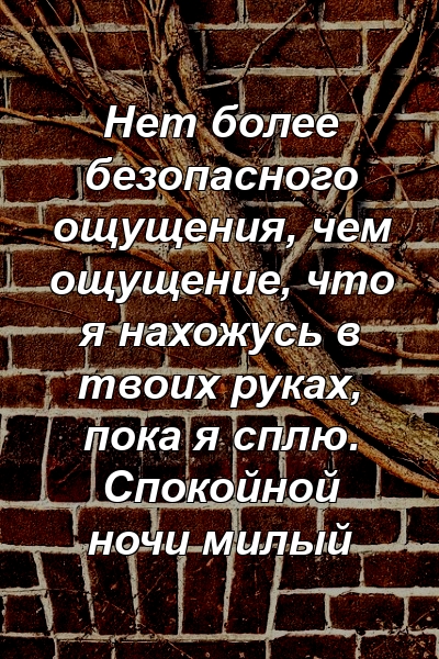 Нет более безопасного ощущения, чем ощущение, что я нахожусь в твоих руках, пока я сплю. Спокойной ночи милый